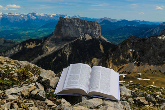 Verse of the Month- Joshua 7:13b